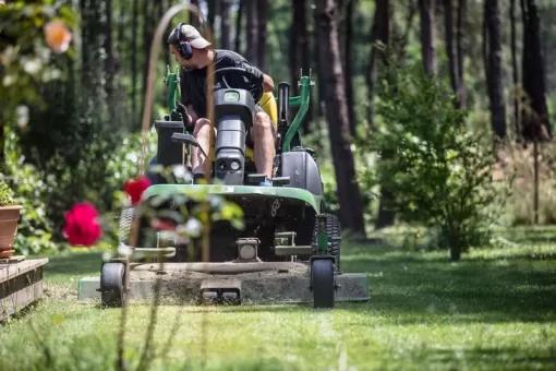 Entretien de Jardin pour Particuliers et Professionnels à Mont-de-Marsan, Mont-de-Marsan, G.Despagnet