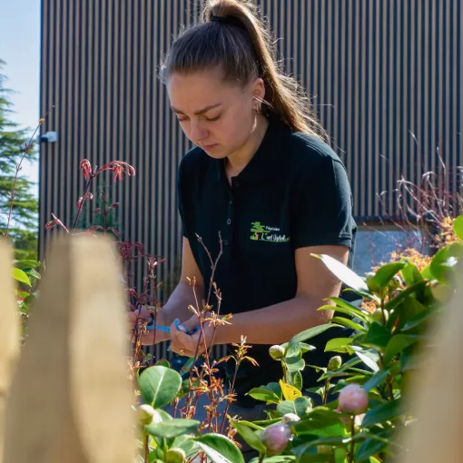 compositrice-vegetal-paysagiste-landes-mont-de-marsan