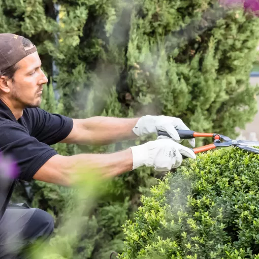 Entretenir votre jardin grâce à une entreprise spécialisée, dans les Landes