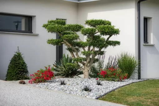 Aménagements de jardins dans les Landes