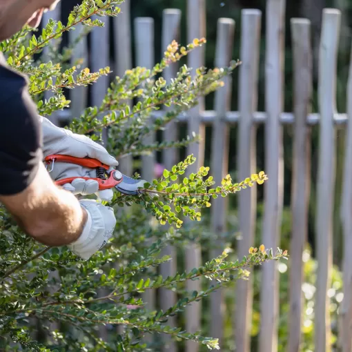 Faites appel à des professionnels du paysagisme et de l'entretien pour vos jardins à Mont de Marsan