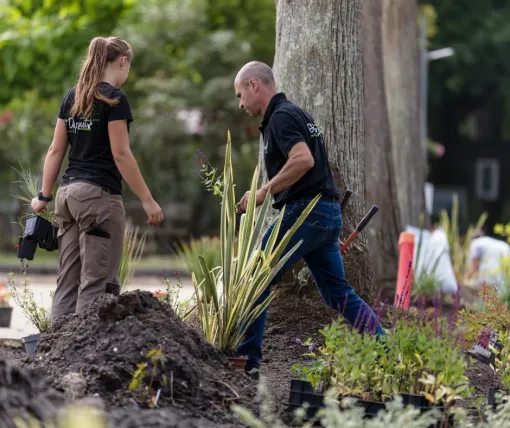 Vos plantations d'automne dans les Landes, Mont-de-Marsan, G.Despagnet