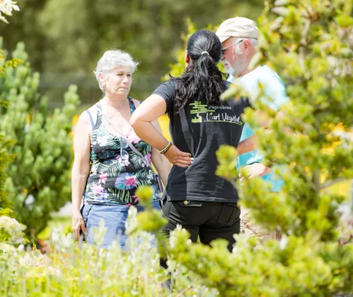 Offres spéciales Green Friday dans nos pépinières L'Art Végétal