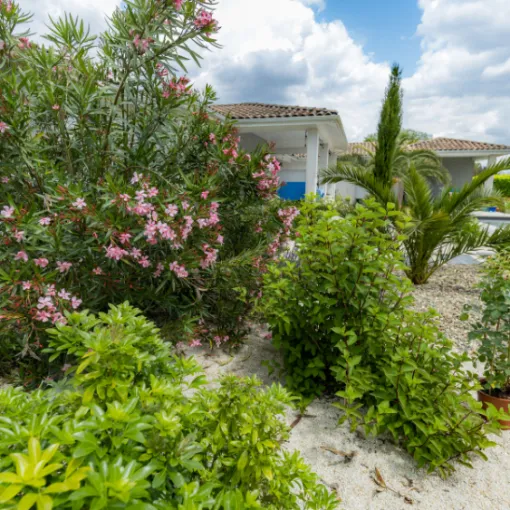 Vos massifs reprennent vie avec le printemps et l'aide des équipes G.Despagnet