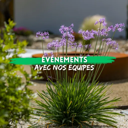 G.Despagnet et L’Art Végétal présents sur vos événements de Printemps., Mont-de-Marsan, G.Despagnet