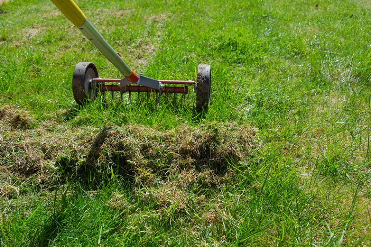 À qui faire appel pour la scarification de pelouse ?, Mont-de-Marsan, G.Despagnet