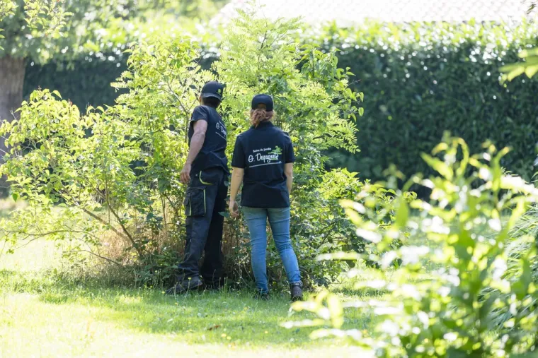 Quel travaux faire dans vos jardins landais avant la Sainte Catherine ?, Mont-de-Marsan, G.Despagnet