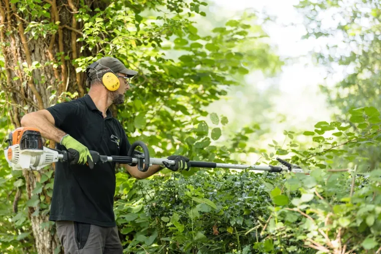 La taille des arbres et arbustes avant l'hiver à Dax, Mont-de-Marsan, G.Despagnet