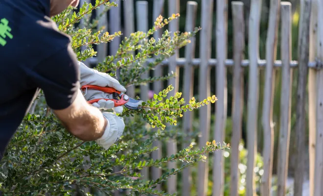 Comment bien préparer son jardin pour l'automne, Mont-de-Marsan, G.Despagnet