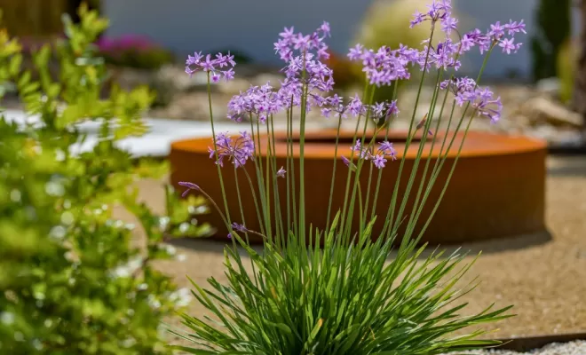 Confiez la réalisation de votre jardin à des professionnels